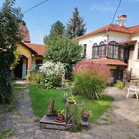 Garickina Kuca Apartment Pirot Exterior foto