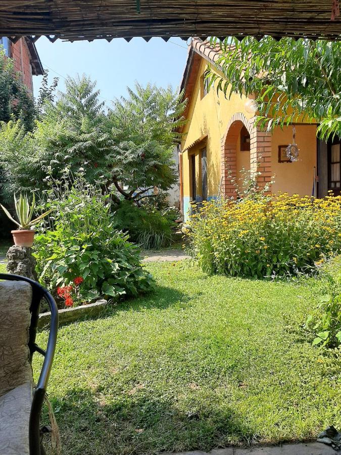 Garickina Kuca Apartment Pirot Exterior foto