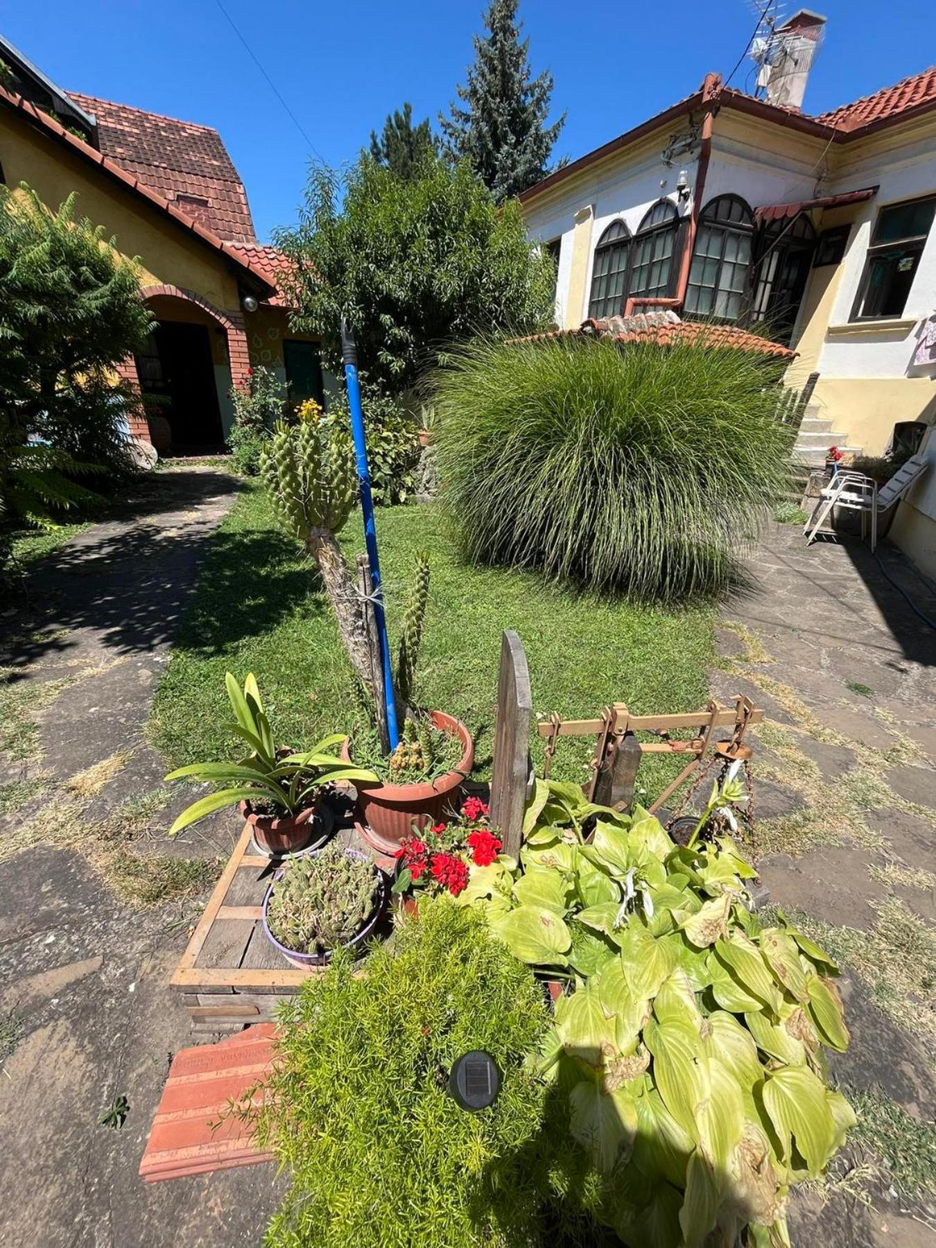 Garickina Kuca Apartment Pirot Exterior foto